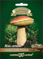 Гриб масленок обыкновенный, 15мл., ЦП, Гавриш